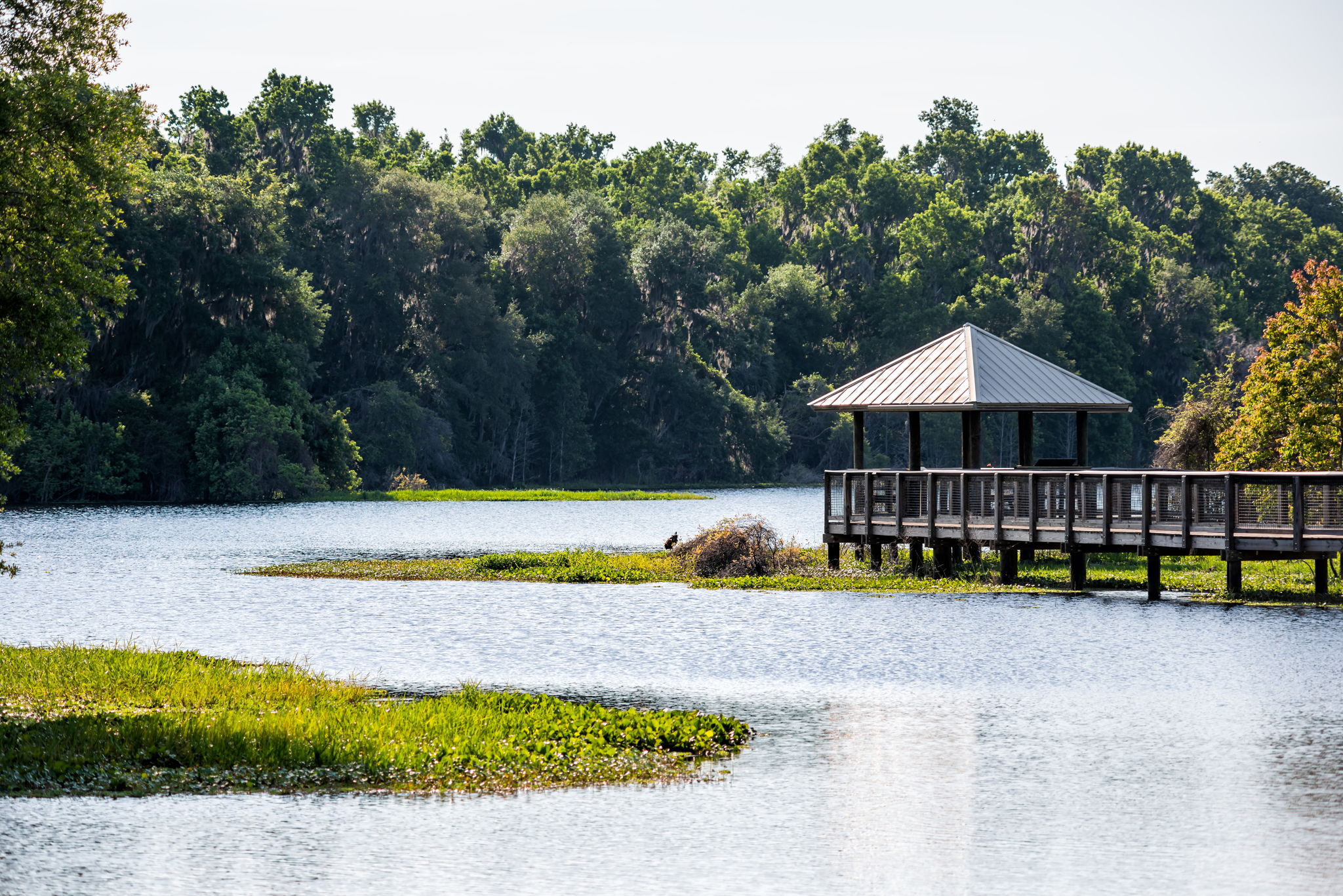 Properties En Venta in Alachua