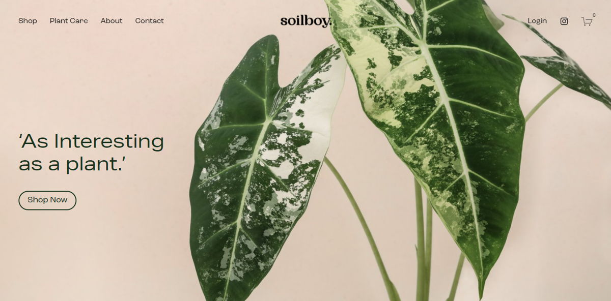 Screenshot of Soilboy, from the simple & minimal websites collection.