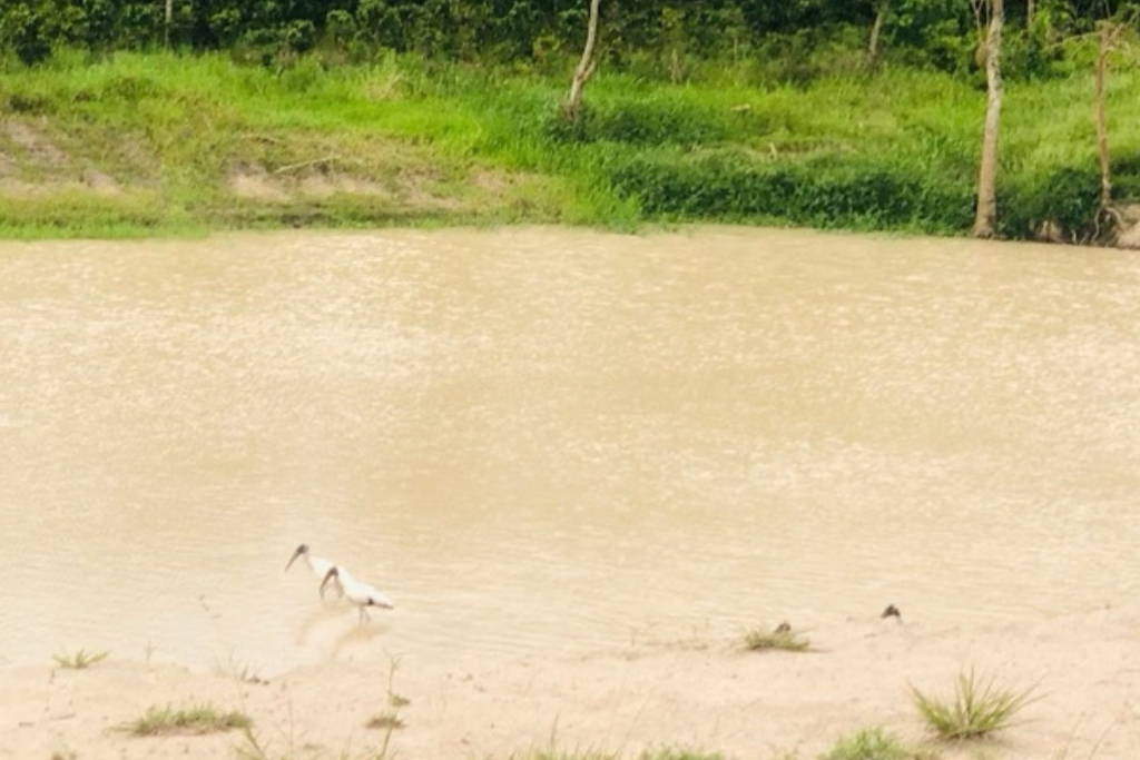 Water reservoir after construction