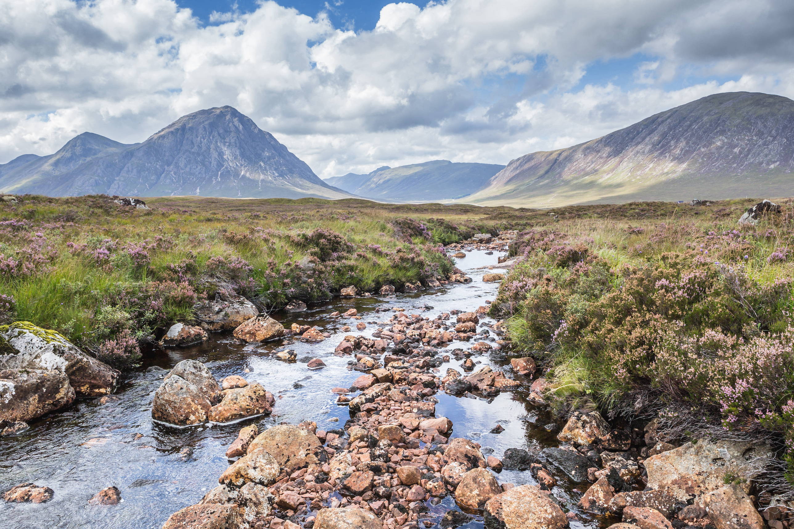 A rocky Highland stream on Rannoch Moor, bordered by heather, is set against the distant entrance to Glencoe.