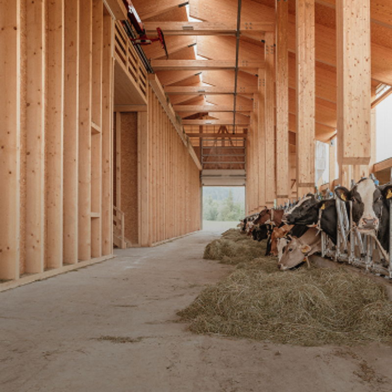 Gemeinsam bauen mit landwirtschaftlichen Bauherren