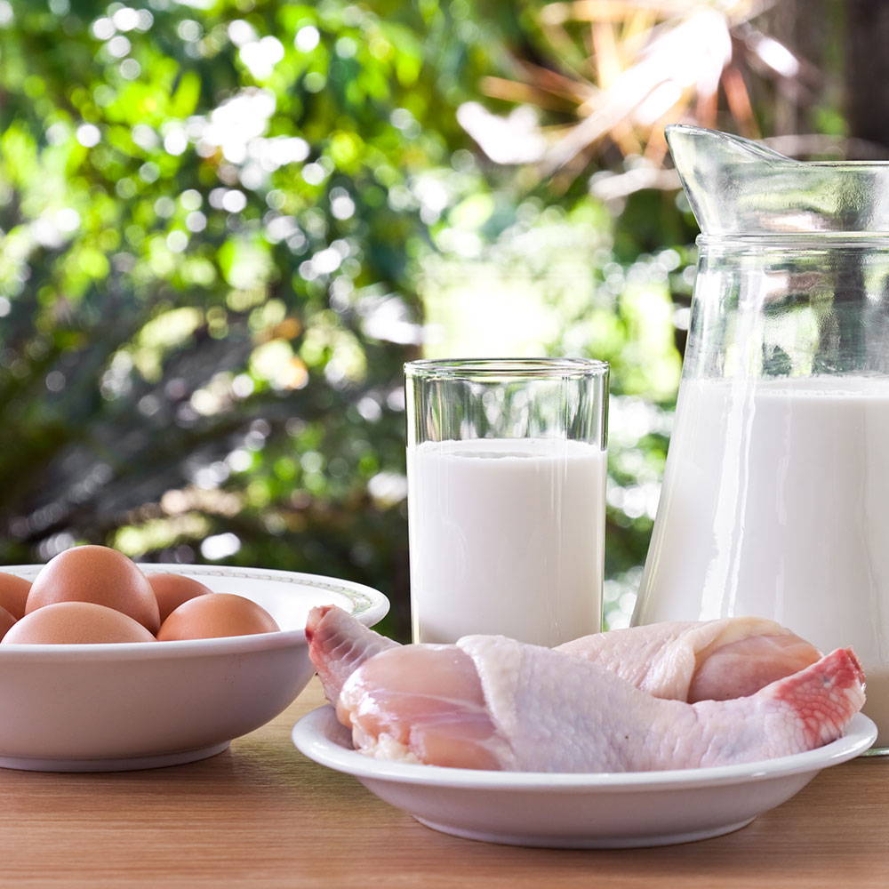 High Protein Diet for Menopause