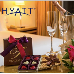 Hyatt Gift Card for Honeymoon