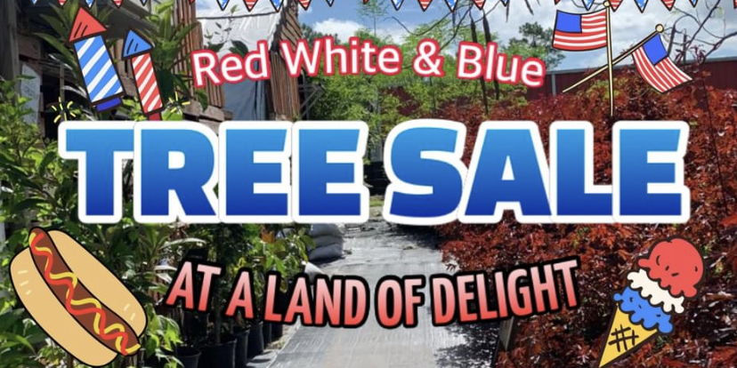 Red White and Blue Labor Day Tree Sale and Family Fun promotional image
