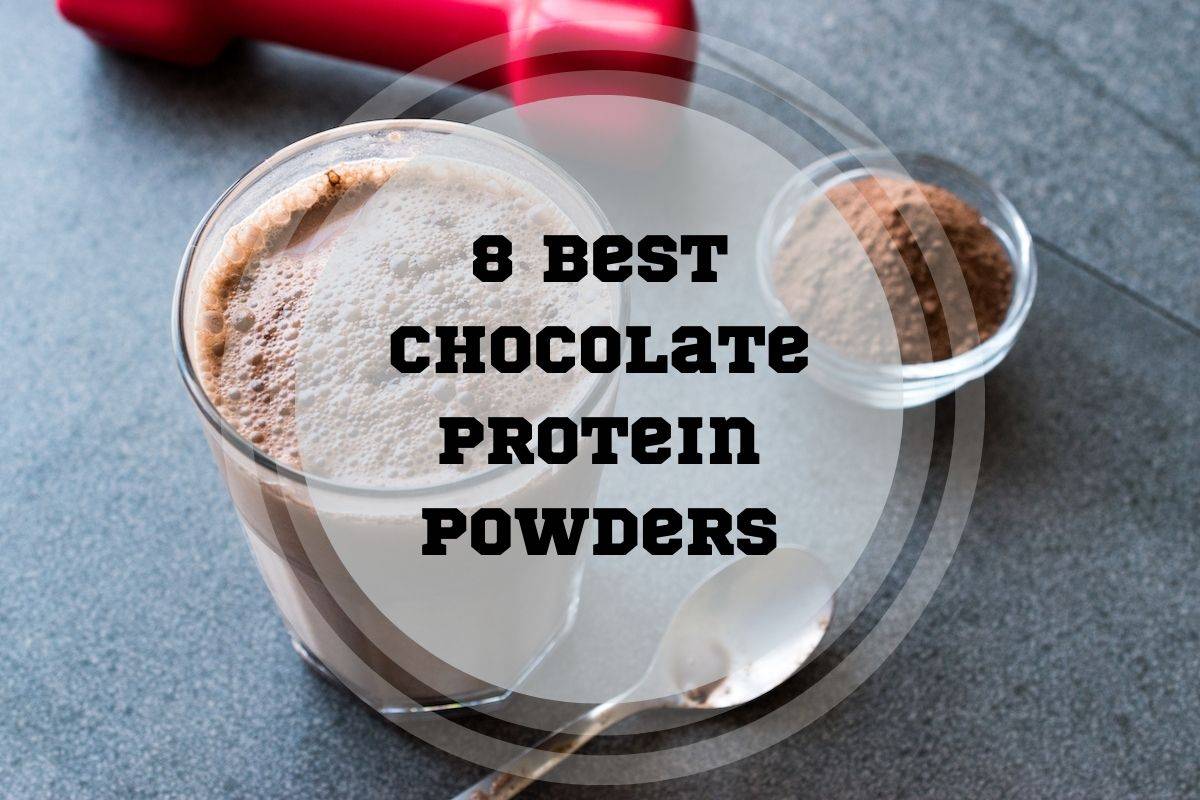 Best Chocolate Protein Powder