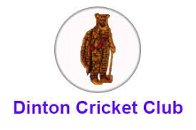 Dinton Cricket Club Logo
