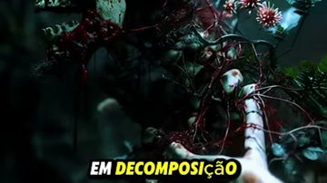 Main Content Image