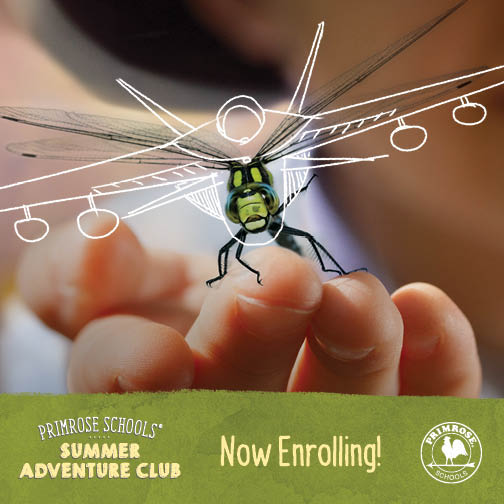 Summer adventure club poster with a close up of a dragonfly perched on a little boy's fingers