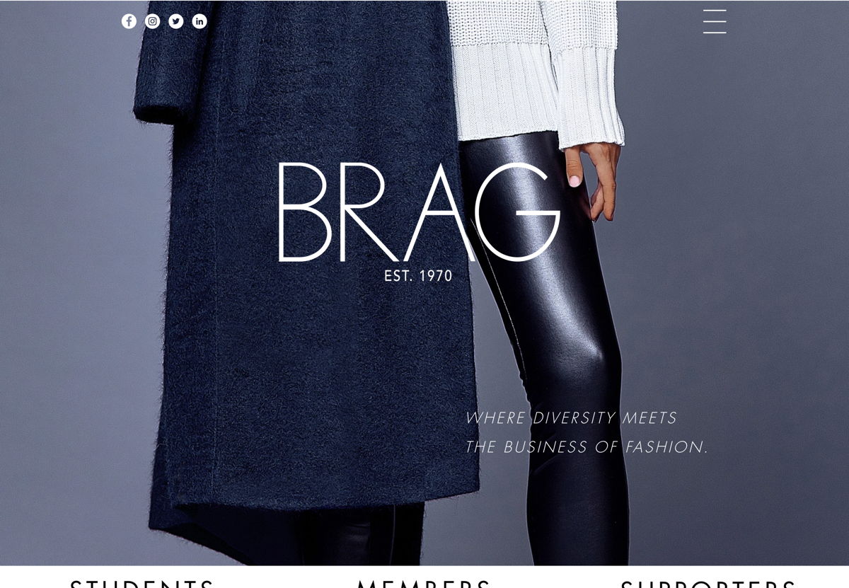 Screenshot of BRAG, from the nonprofit & charity websites collection.