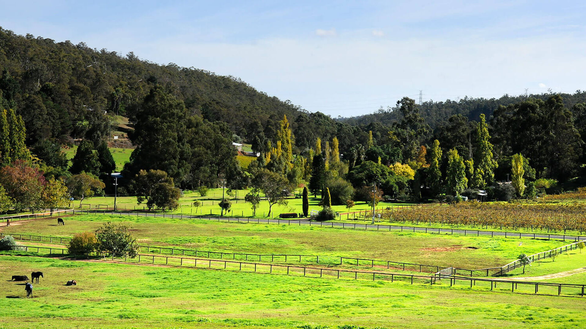 City of Kalamunda hero image