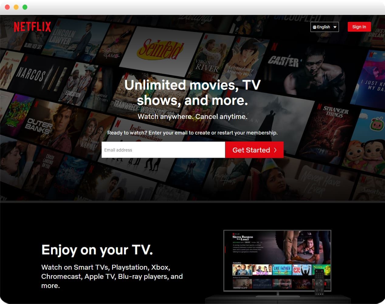 Shopify's customer - Netflix