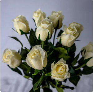 Cream Real Touch Rose Open Bud - Realistic Artificial Flowers