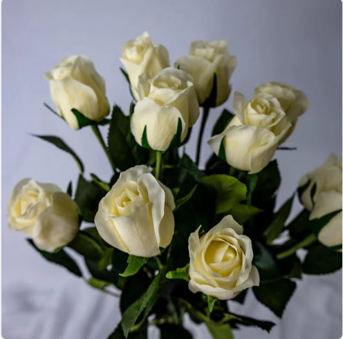 Cream Real Touch Rose Open Bud - Realistic Artificial Flowers