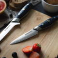 kanpeki paring knife and boning knife stylized