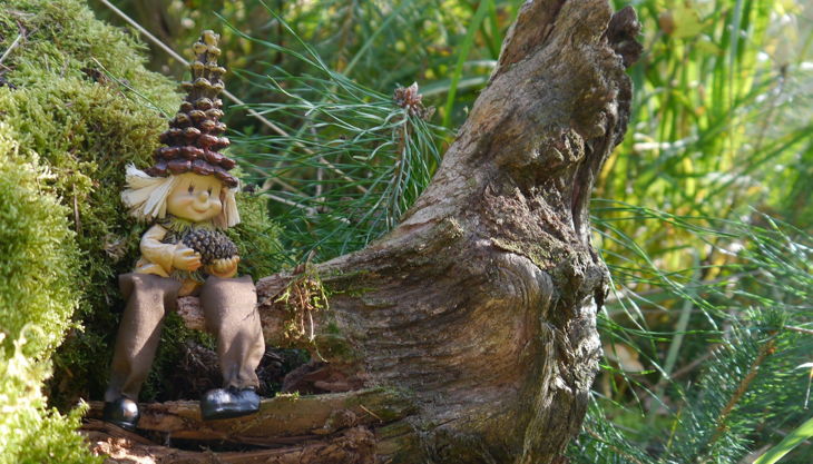 kingergeburtstag im magischen wald mirtschink