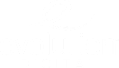 evolution digital