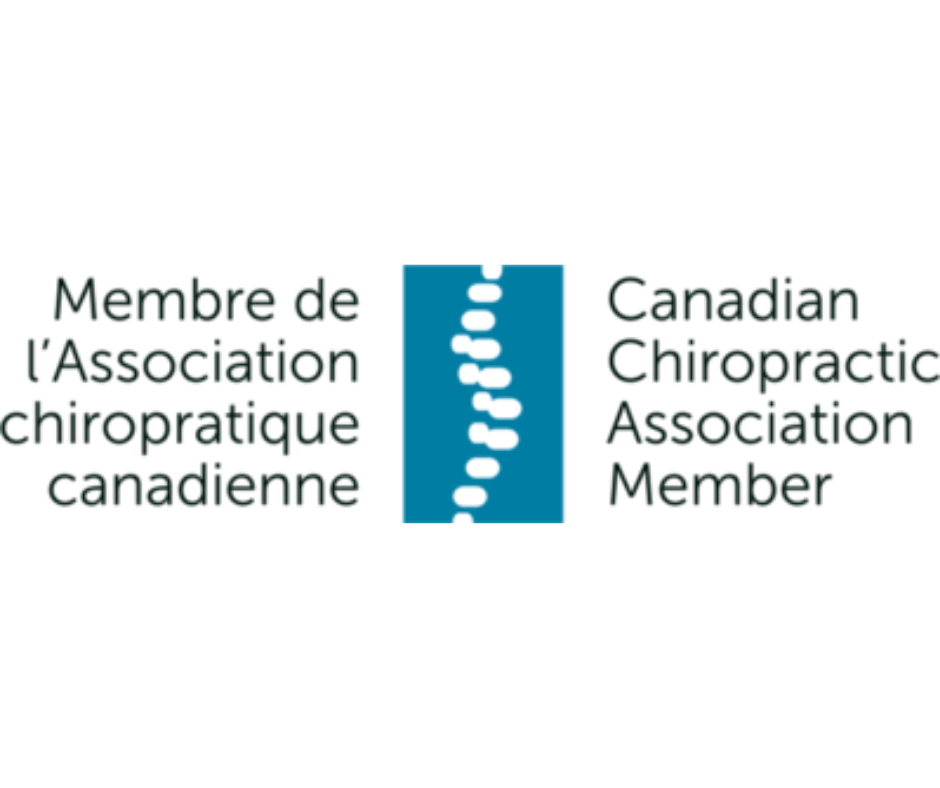 Canadian Chiropractor Association of Canada logo - Haven Sleep Co is Certified Chiropractic