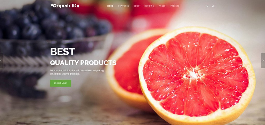 Organic Life - хороший шаблон для CMS Joomla