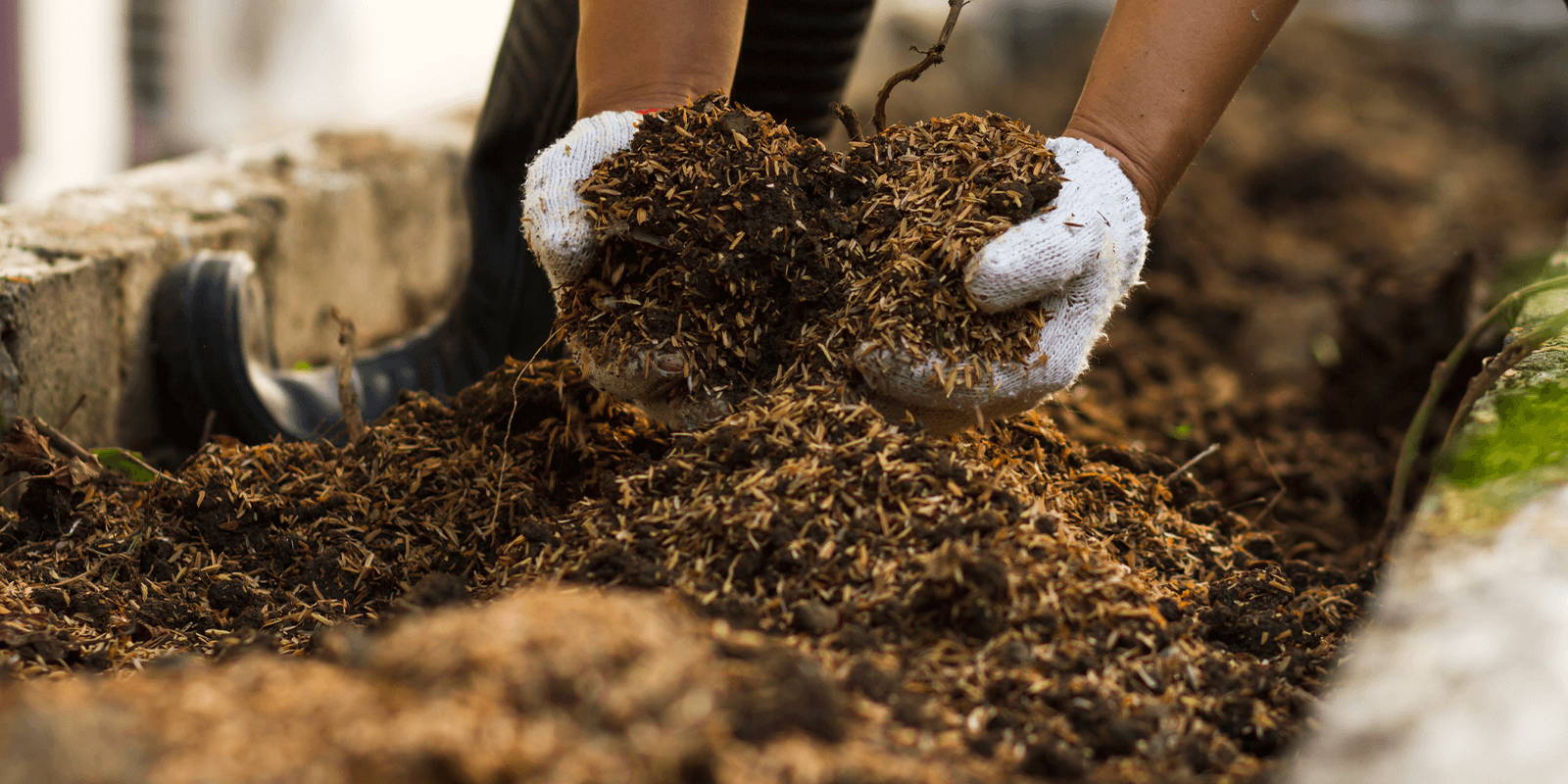 Person scooping dirt.