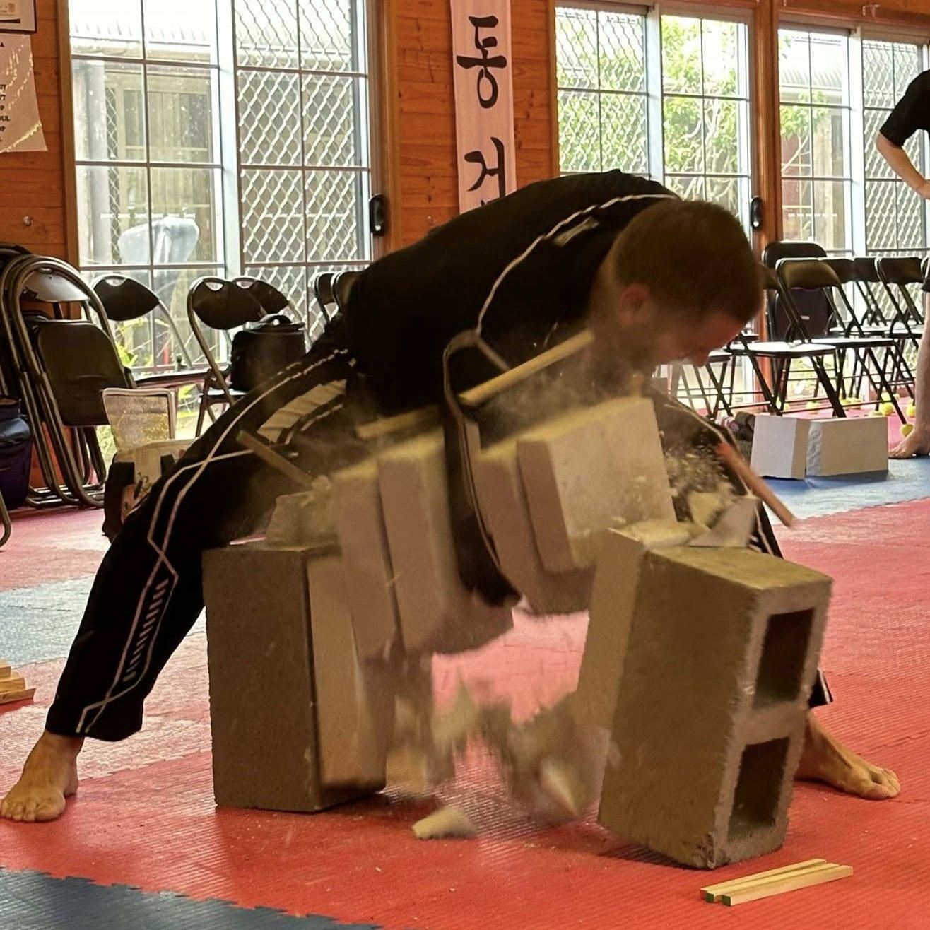 Eight Directional Martial Arts - Image 2