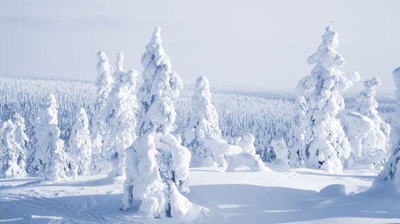 Muonion kunta - taloustiedot, Y-tunnus ja päättäjät 