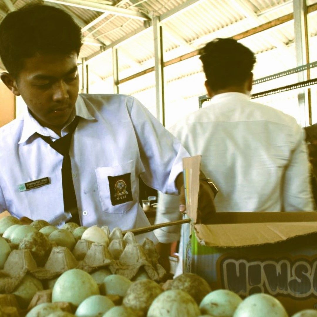 praktek telur-cover.jpg