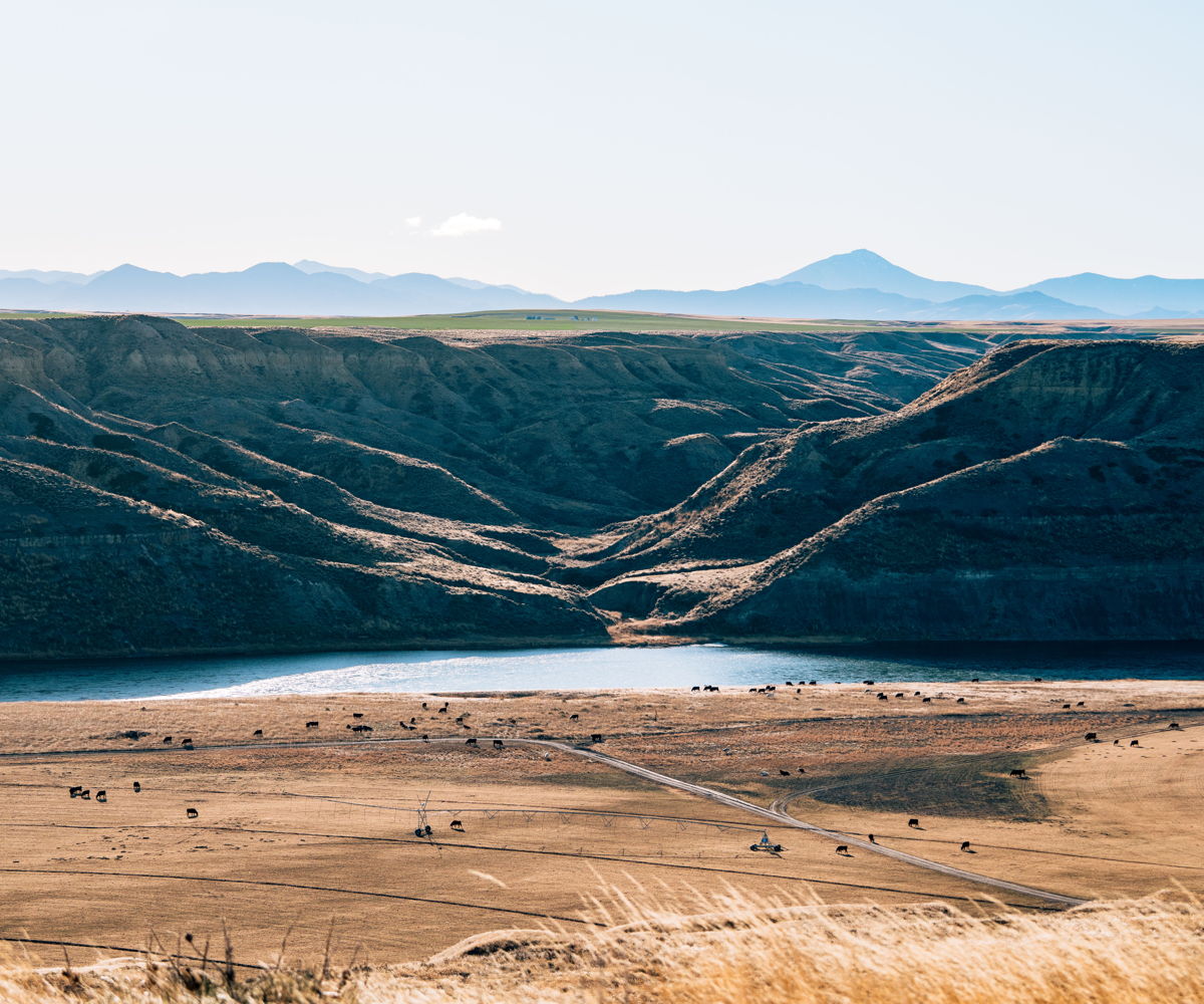 details-image