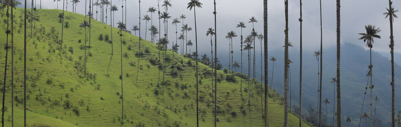 Africa Destination