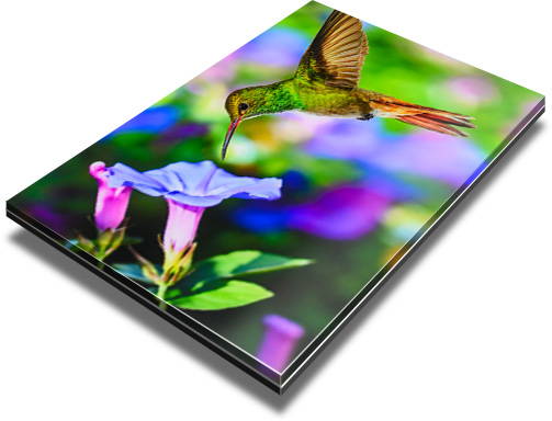 Matte finish acrylic print