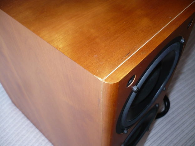 PMC TLE1  Subwoofer in Cherry