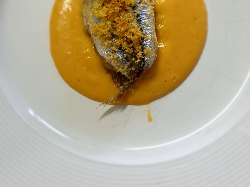 Corsi di cucina Camaiore: Un mare di alici