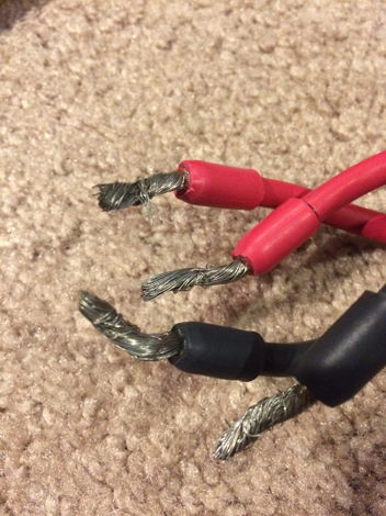 Triode Wire Labs American Speaker Cable 6ft, Unterminat...