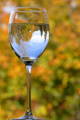 verre de vin reflet