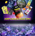 Buy Magic Mushroom Chocolates, Magic Mushroom Gummies, Premium Cannabis Online
