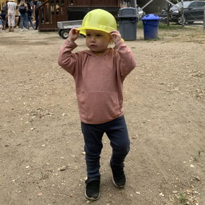 Home Improvement Fund