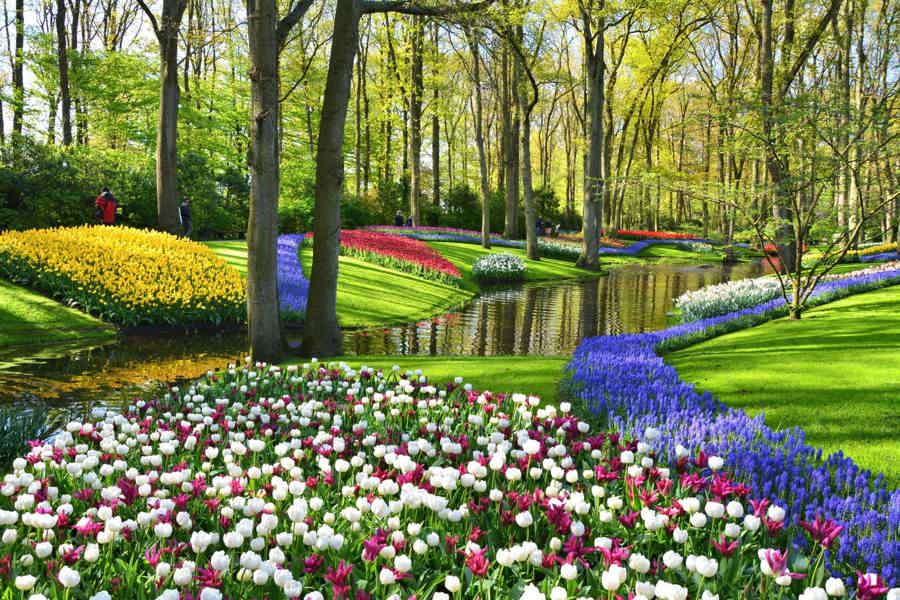 Keukenhof Gardens & Tulip Experience Tour from Amsterdam - photo 5