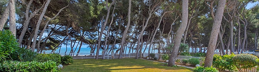  Pollensa
- Erste-Meereslinie-Immobilie-zu-verkaufen-Mallorca-Nord