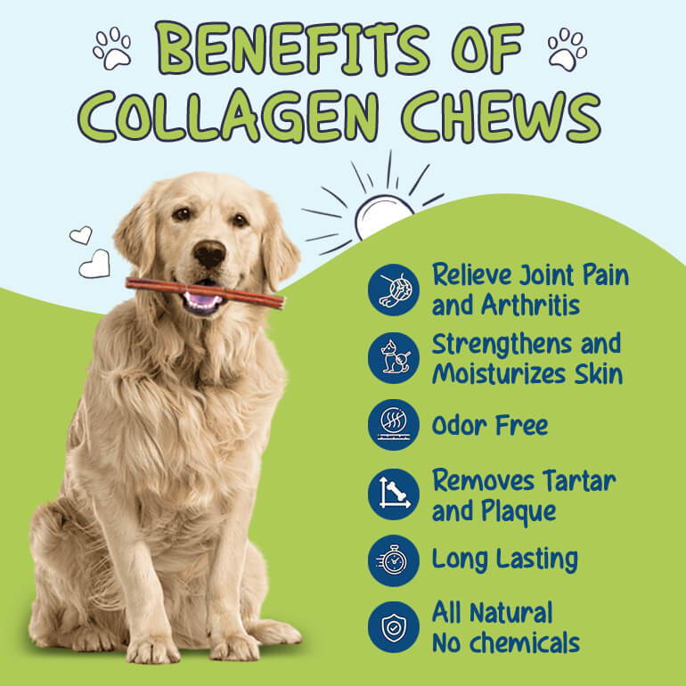 Pet Expertise™ Collagen Chew