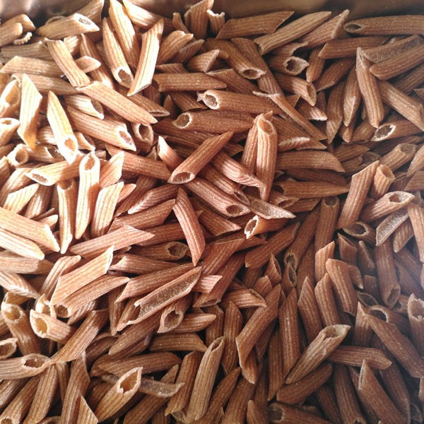 penne-a-lepeautre-bio