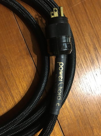 Audience powerChord-e 10 Ft power cable
