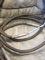 JPS LABS  SUPERCONDUCTOR PLUS 10 FT speaker cables 2