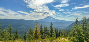 Section 1 of the WA BDR near Toledo, WA