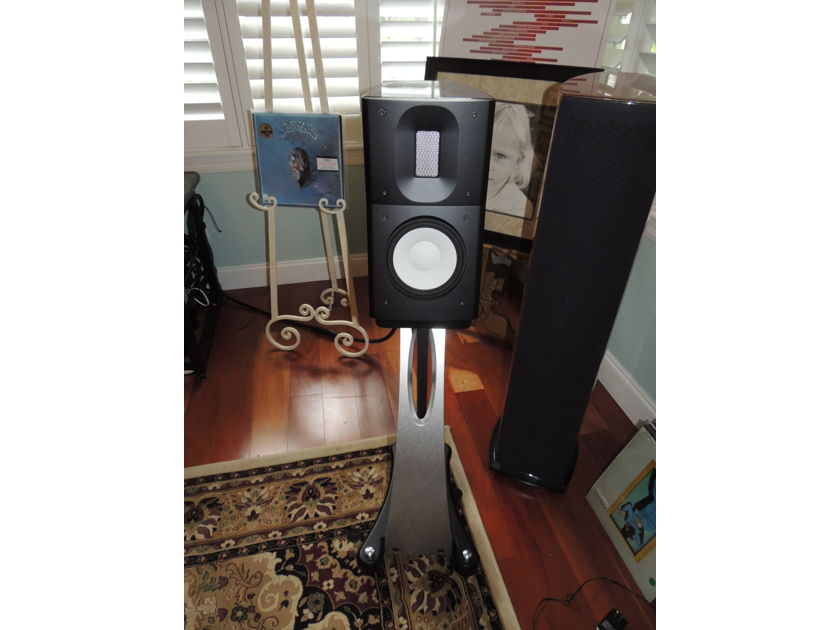 Raidho Acoustics APS C1.1 Standmounted Speakers in Excellent Condition!!