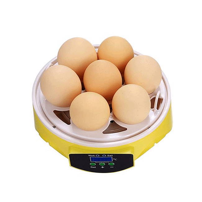 Mini 7 Egg Incubator Hatcher Digital Clear Temperature Control Duck Bird