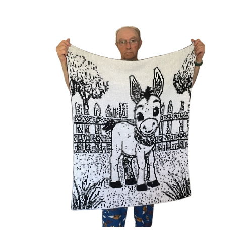 Little Donkey Dreams Blanket