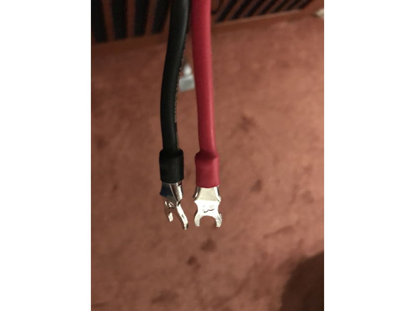 Naim/AV Options Cryo Treated Speaker Cable and Jumpers 12 Feet - Price Drop $100!!