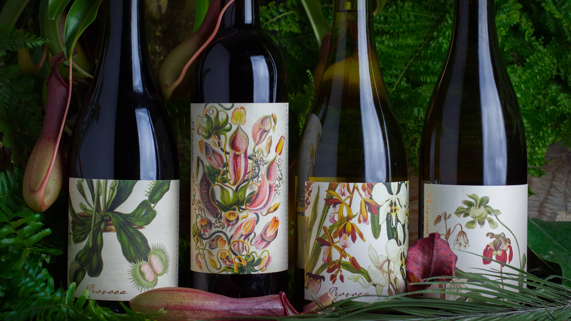 Featured image for Beautiful Botanically Inspired Wine