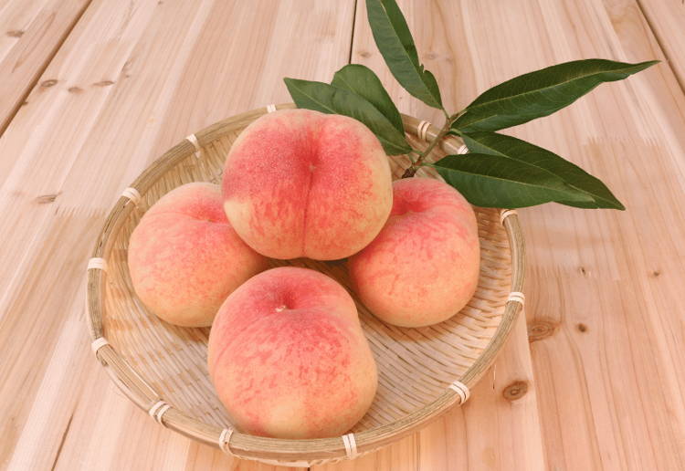 6月果物(フルーツ)
