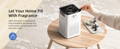 Absorb pet odors