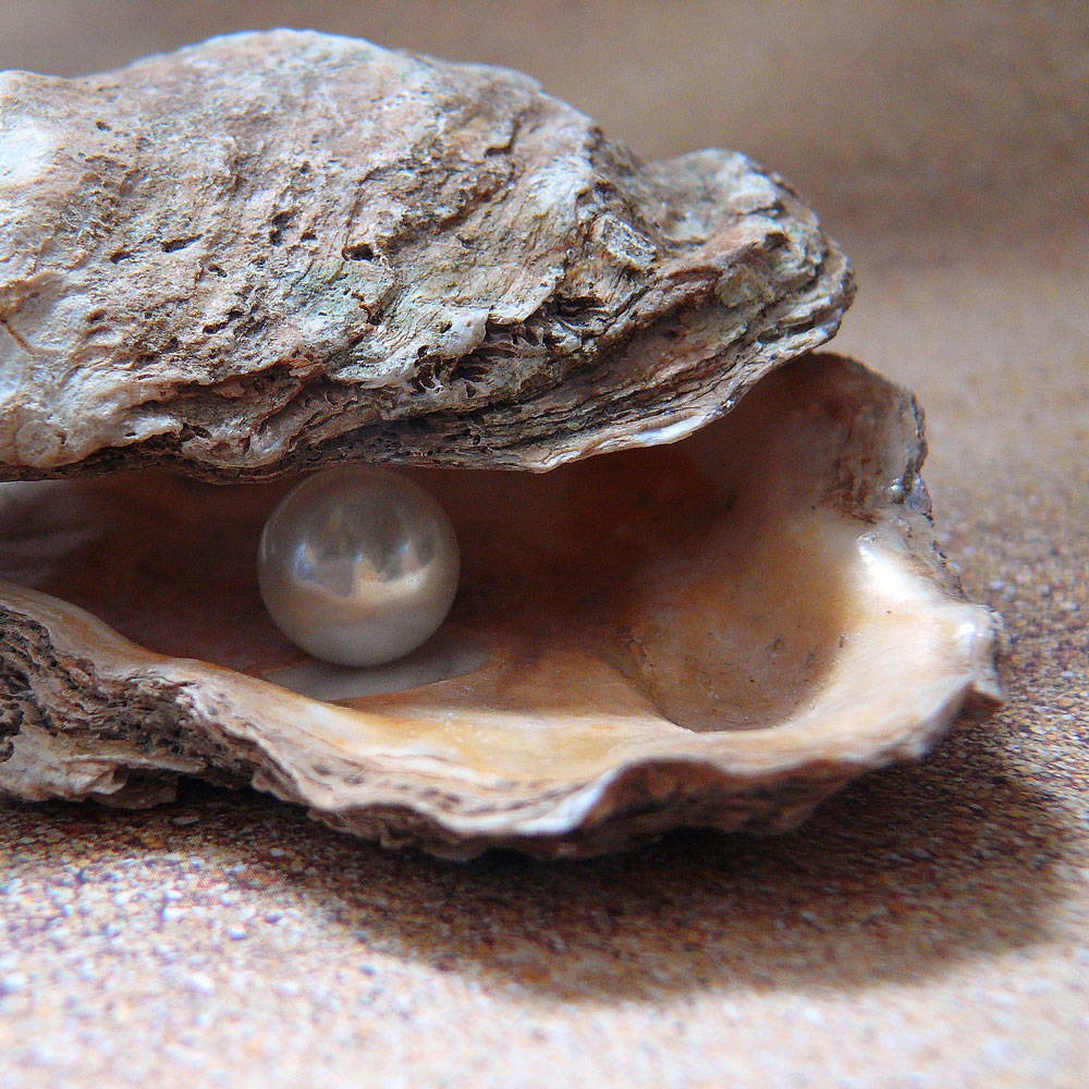 natural cultured pearls